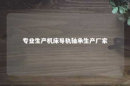 专业生产机床导轨轴承生产厂家 